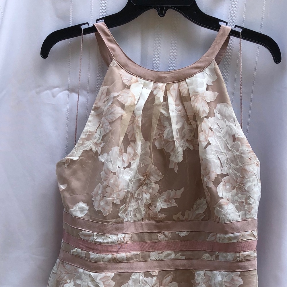 Adrianna Papell Pink and Nude Floral Dress